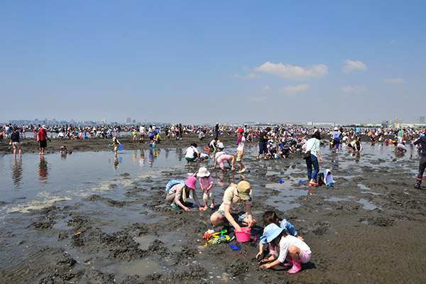 ふなばし三番瀬海浜公園