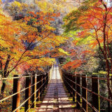 【観光】花貫渓谷の紅葉