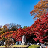 【観光】永源寺（もみじ寺）の紅葉