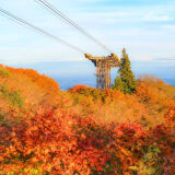 【観光】筑波山の紅葉