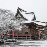 【観光】保和苑