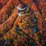 【観光】日光いろは坂の紅葉