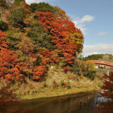 【観光】養老渓谷の紅葉