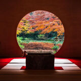 【観光】明月院の紅葉