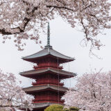 池上本門寺