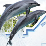 しながわ水族館