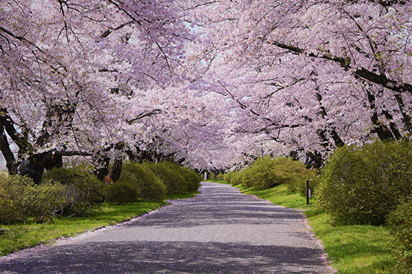 展勝地