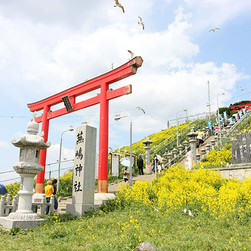 芜岛
