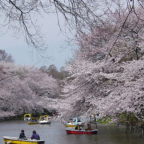 井の頭恩賜公園