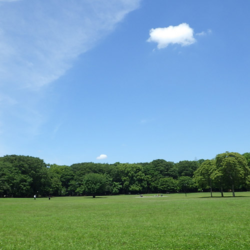 小金井公園