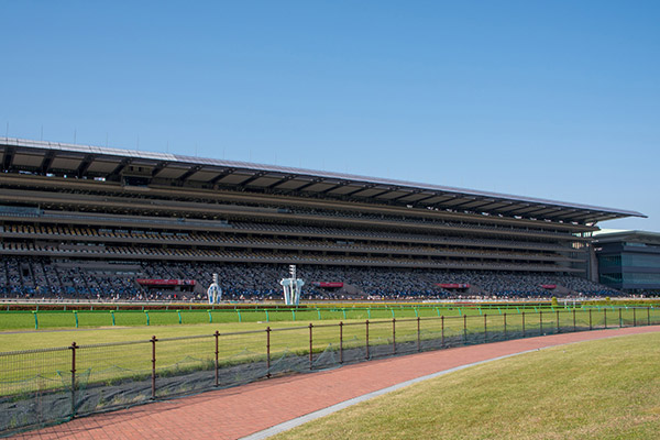 東京競馬場