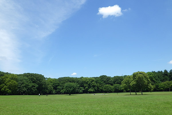 小金井公園