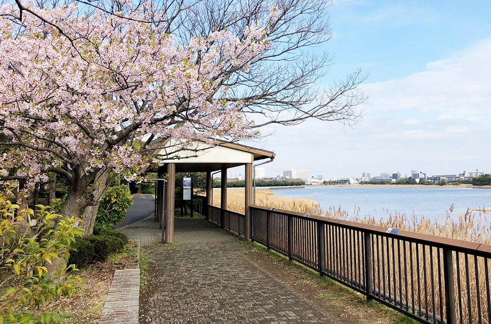 谷津干潟公園