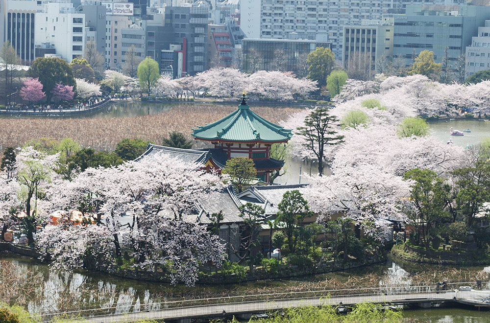 Ueno Park (Ueno Onshi Koen)