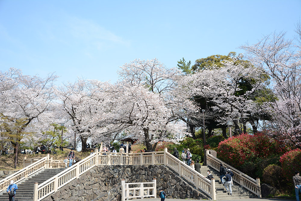 Asukayama Park