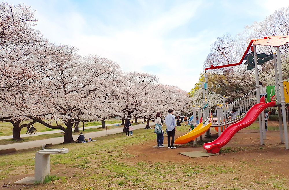 Oi Futo Chuo Kaihin Park Sports Forest