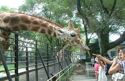 宇都宮動物園